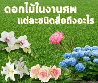 ดอกไม้ในงานศพแต่ละชนิดสื่อถึงอะไร